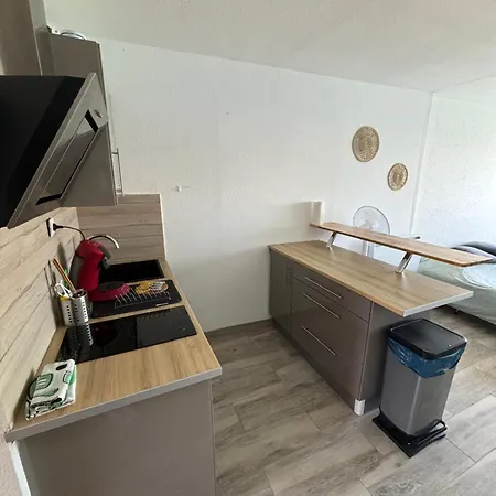 Apartment Vue Ile Des Pecheurs Agde